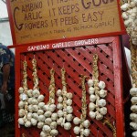 Gambino Garlic Growers