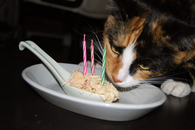Edie's  Birthday