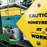 b91-community-garden-bees