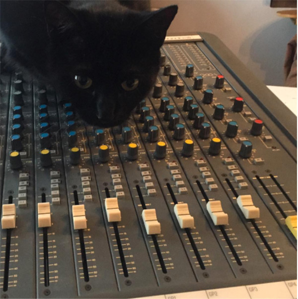 cat-music