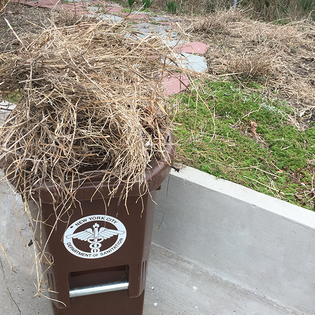 organic-waste-bins-nyc