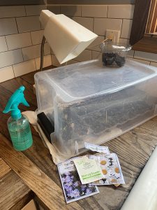 DIY greenhouse set up. You'd be suprised what you can make with things lying around your house!