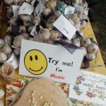 Garlic Samples at Hope Valley Farm Stand