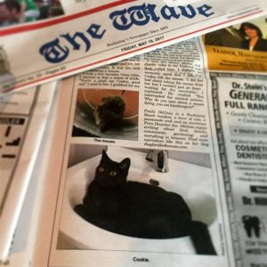 The-Wave-Newspaper