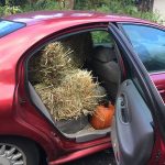On a recent trip to the Catskills, I had to get some hay and additional pumpkins. It was too good of a bargain to pass up! (1)