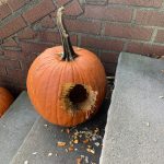 squirrel pumpkin 1