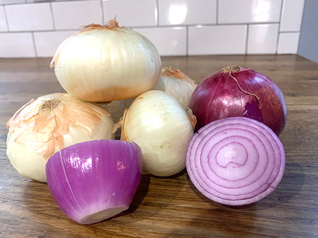 Raw Onion Roti 2