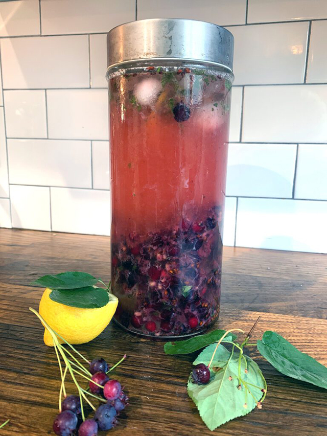 serviceberry cooler with lemon