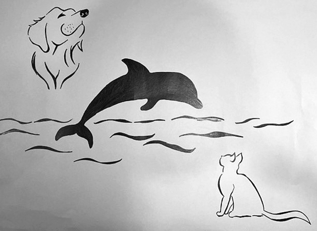 Dog-Cat-Dolphin-Poster