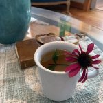 Homemade Echinacea Tea