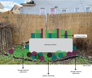 Project-plan-overview-Beach 91 community garden