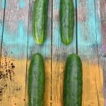 Couldnt-be-more-perfect-cucumbers-scaled