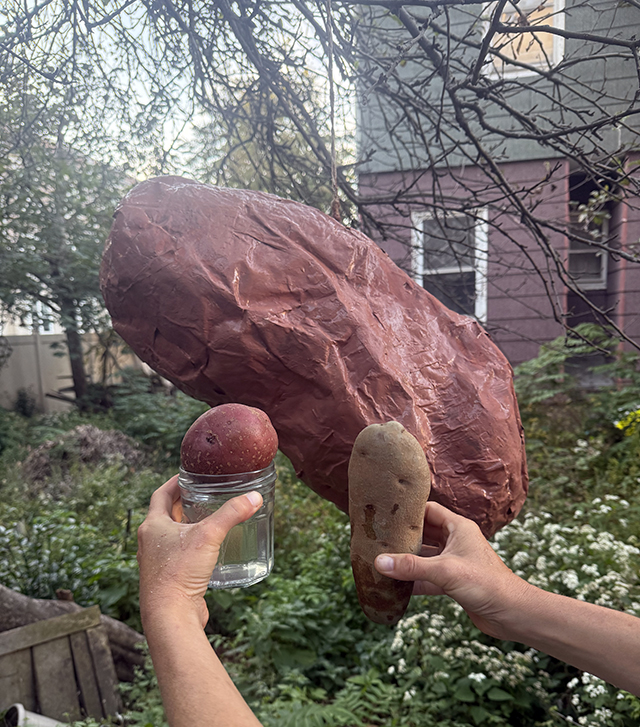 potato pinata 2