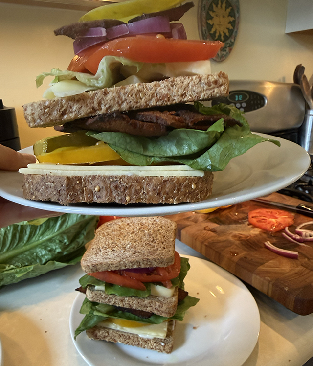 Triple Decker Clun Sandwich 1