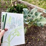 Beach 91 community Garden drawing event 1