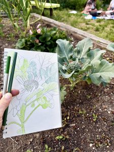 Beach 91 community Garden drawing event 1