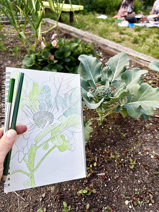 Beach 91 community Garden drawing event 1