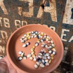 Corn from RISE Far Rockaway