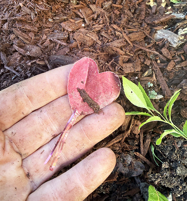 heart garden